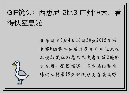 GIF镜头：西悉尼 2比3 广州恒大，看得快窒息啦